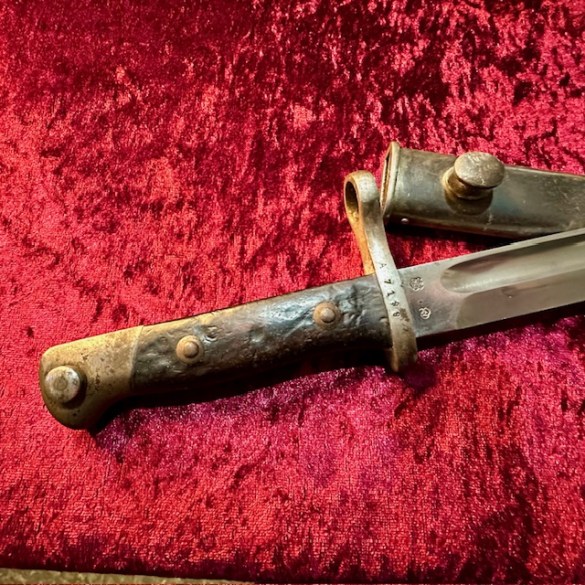 Chilean Bayonet 7
